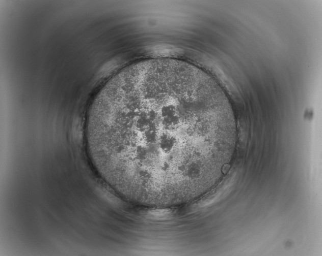 X0000102360357200808151818