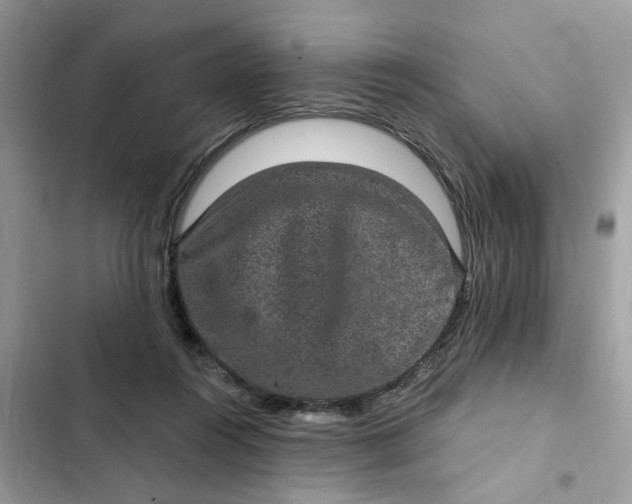 X0000102360360200808151818