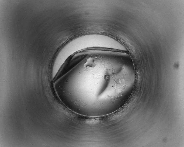 X0000102360362200808151818