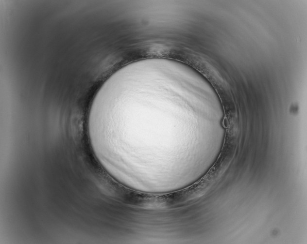 X0000102360363200808151818