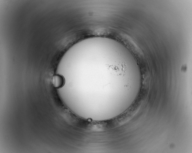 X0000102360368200808151818