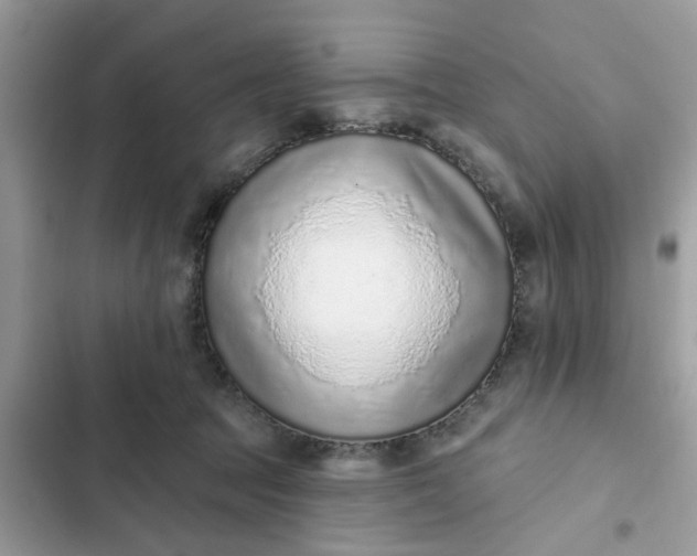 X0000102360369200808151818