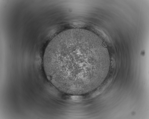 X0000102360371200808151818