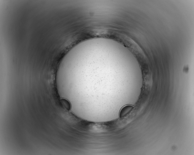 X0000102360372200808151818