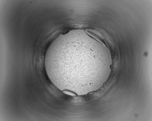 X0000102360376200808151818