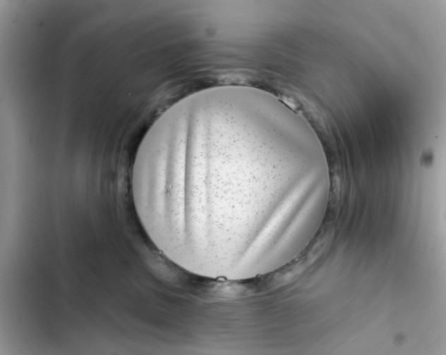 X0000102360379200808151818