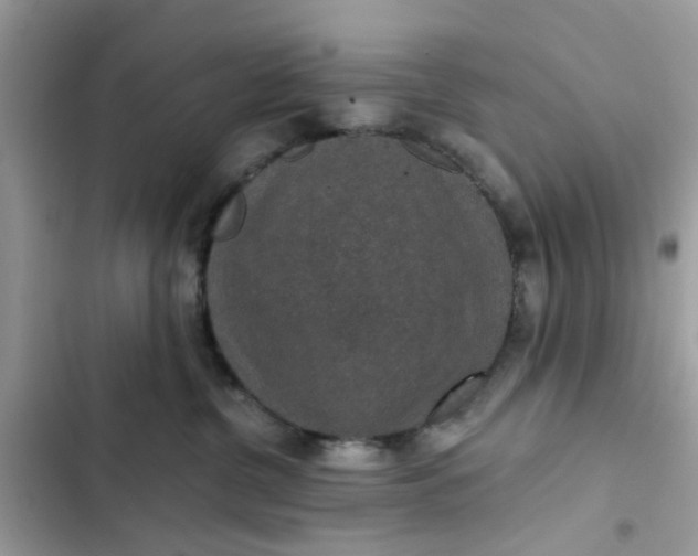 X0000102360380200808151818