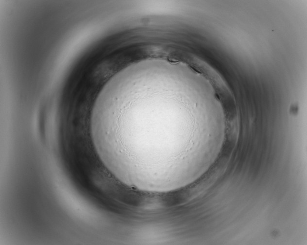 X0000102360381200808151818