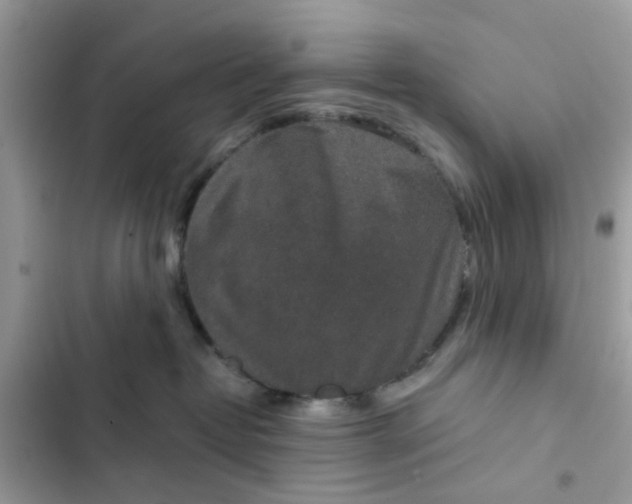 X0000102360382200808151818