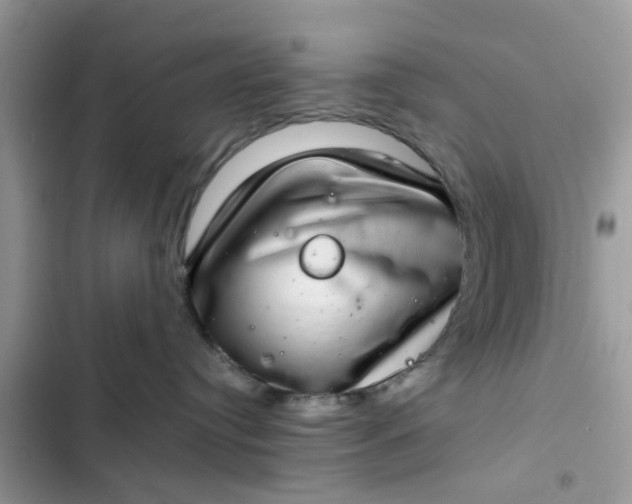 X0000102360384200808151818