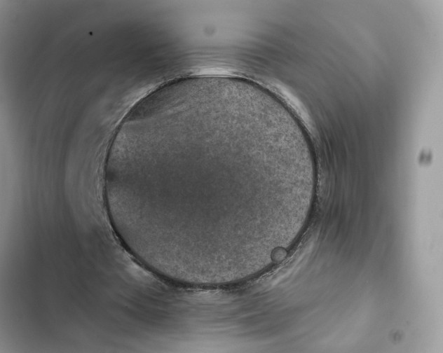 X0000102360385200808151817