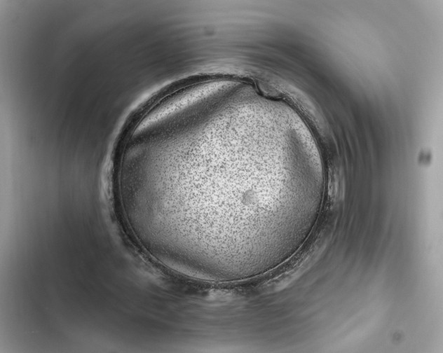 X0000102360388200808151817