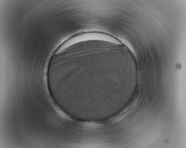 X0000102360389200808151817