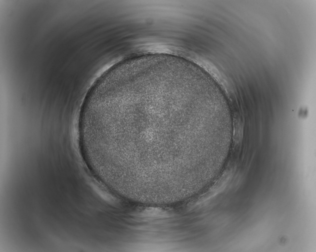 X0000102360390200808151817