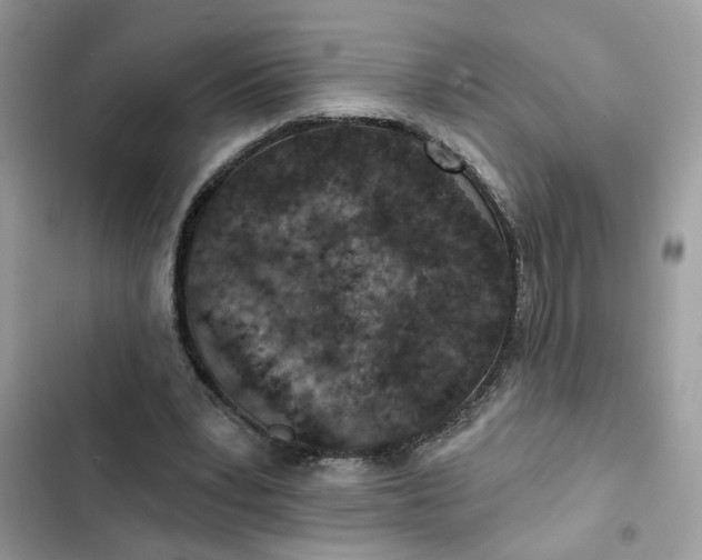 X0000102360391200808151817