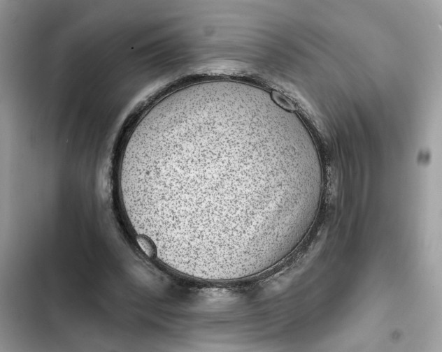 X0000102360392200808151817