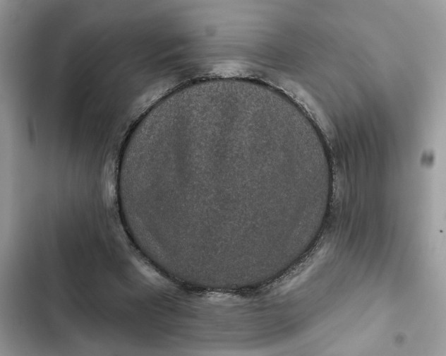 X0000102360393200808151817