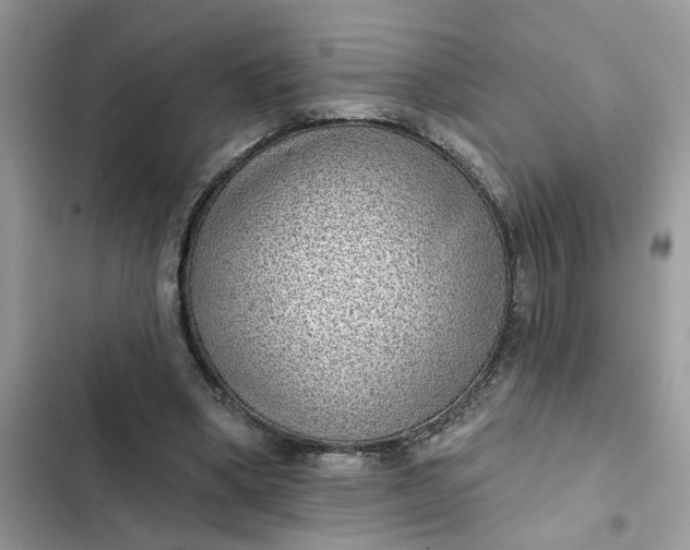 X0000102360394200808151817