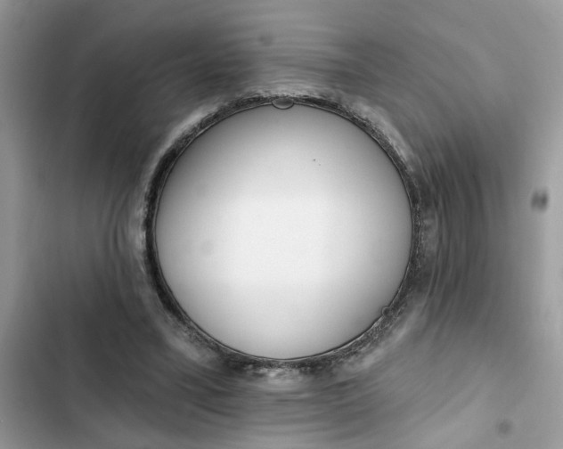 X0000102360395200808151817