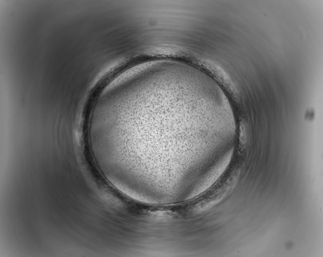 X0000102360396200808151817