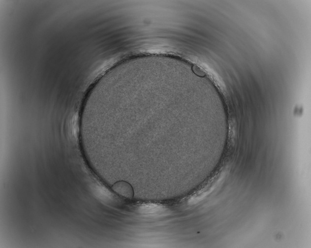 X0000102360397200808151817