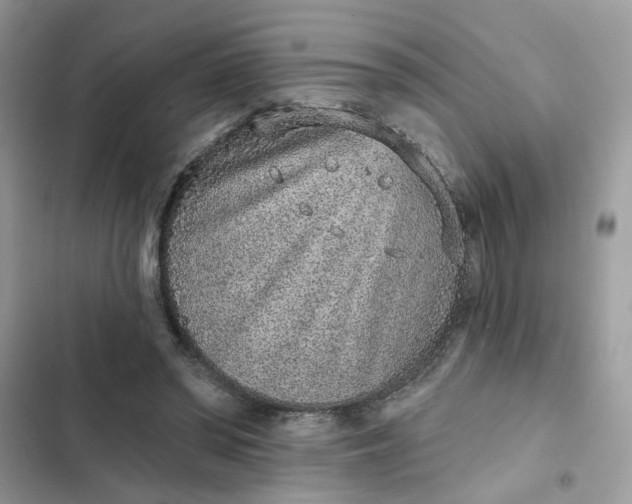 X0000102360398200808151817