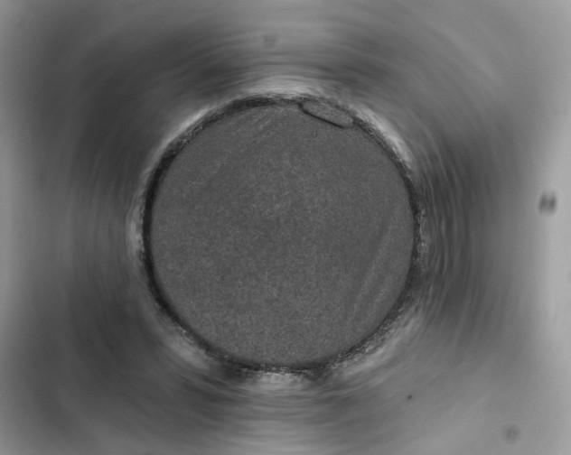 X0000102360399200808151817