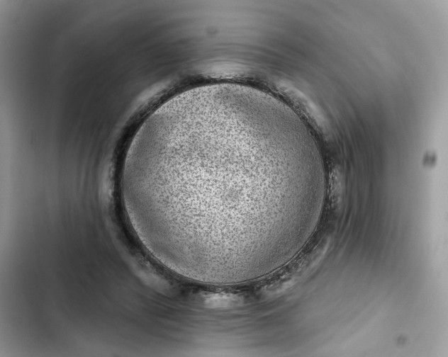 X0000102360400200808151817