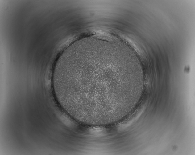 X0000102360402200808151817