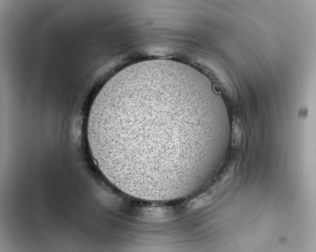 X0000102360404200808151817