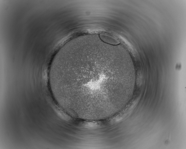 X0000102360405200808151817