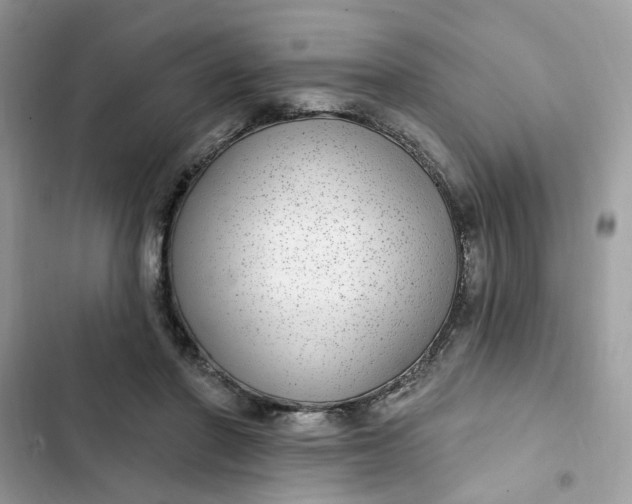 X0000102360406200808151817