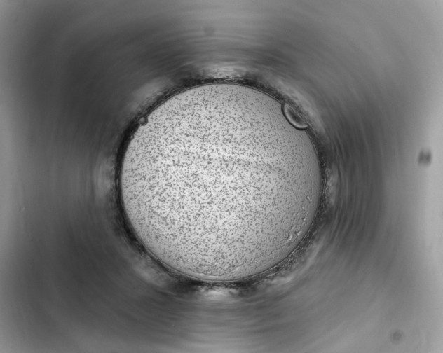 X0000102360407200808151817