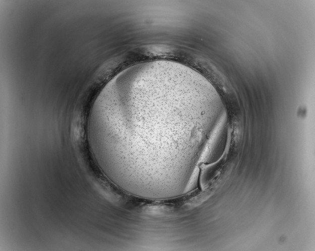 X0000102360408200808151817