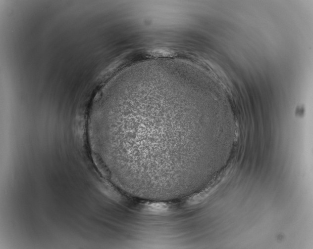 X0000102360409200808151817