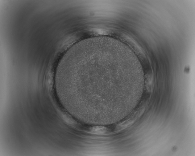 X0000102360410200808151817