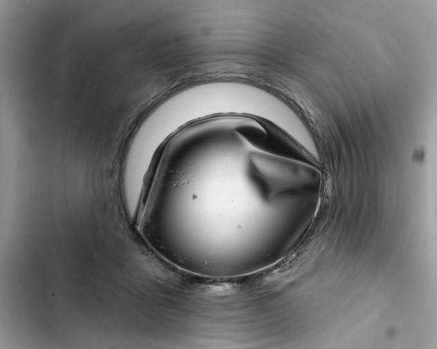 X0000102360411200808151817