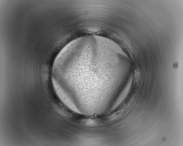 X0000102360412200808151817