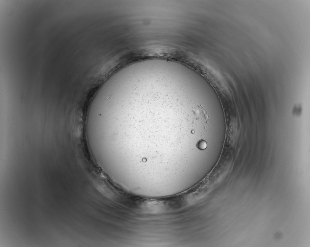 X0000102360413200808151817