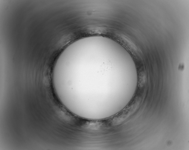 X0000102360414200808151817