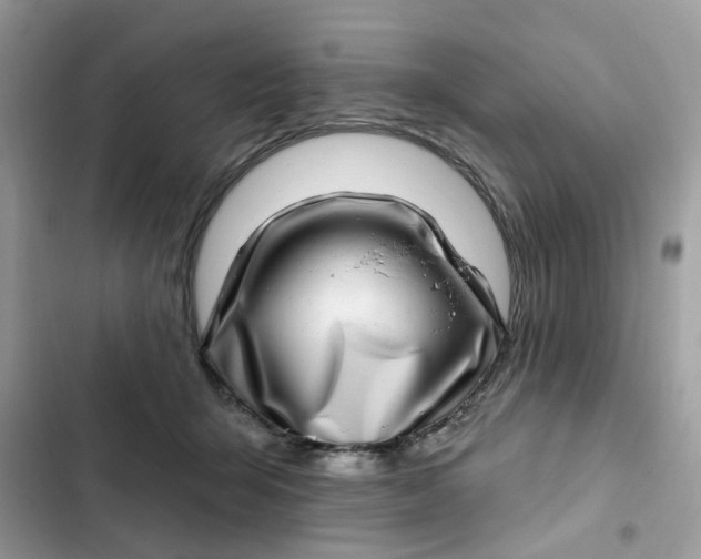 X0000102360415200808151817