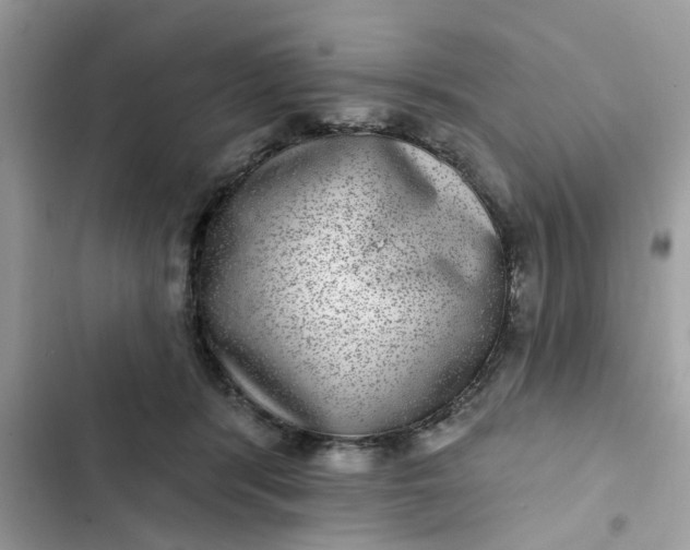 X0000102360416200808151817