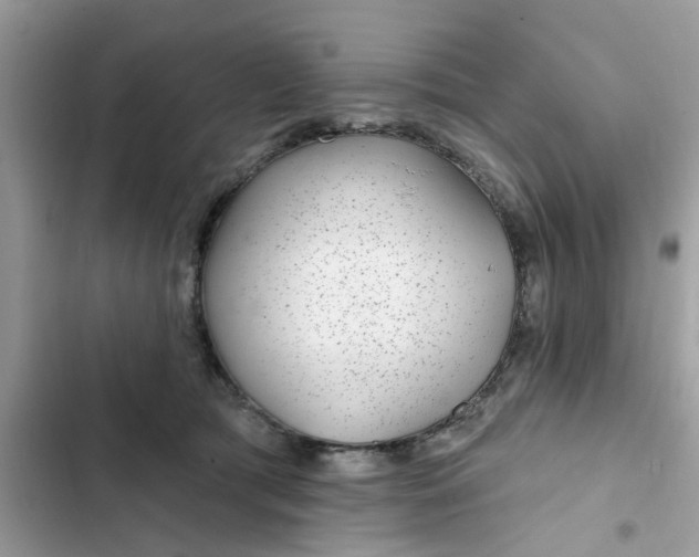 X0000102360417200808151817