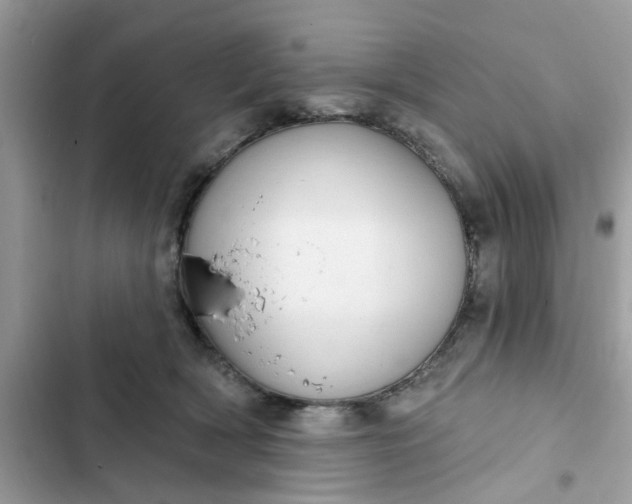 X0000102360418200808151817