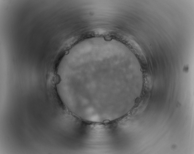 X0000102360419200808151817