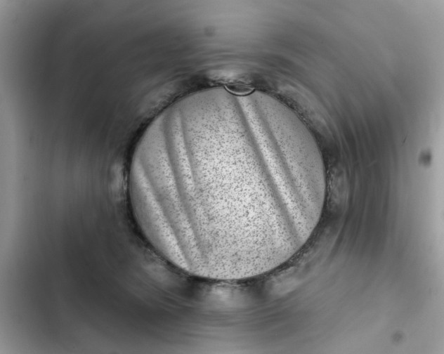 X0000102360420200808151817