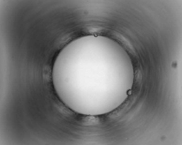 X0000102360421200808151817