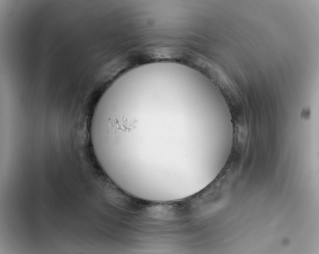 X0000102360422200808151817