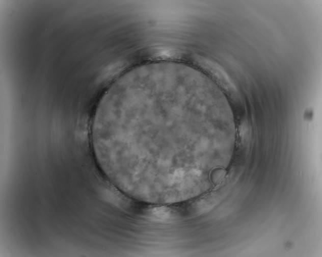 X0000102360423200808151817