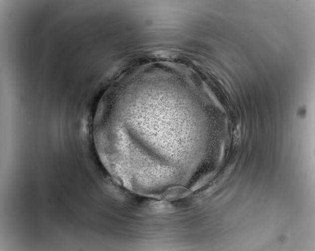 X0000102360424200808151817